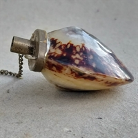 skaller-samlet-til-flaske-hældetud-gammel-beholder